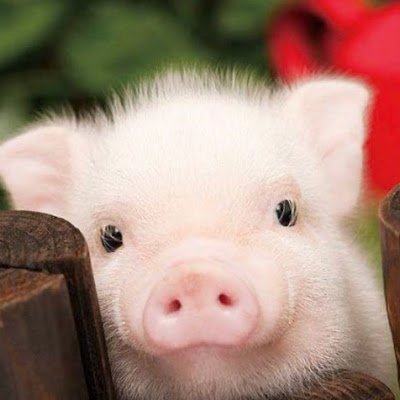 9200321_'s profile picture. 