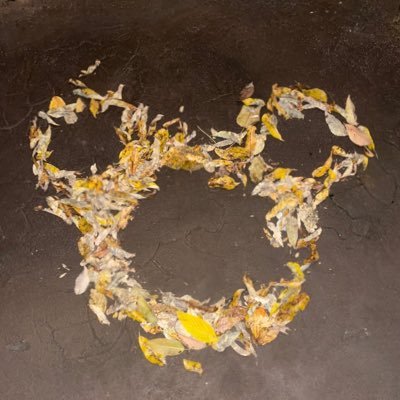 volley7856's profile picture. 