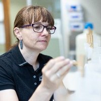 Dr Serena Love (@drserenalove) Twitter profile photo
