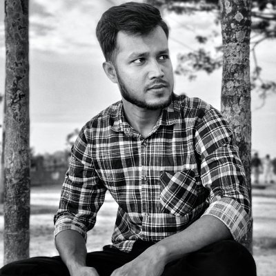 ImranRony1995's profile picture. Associate Software Engineer