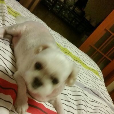 neNrElcQG4IklKY's profile picture. 