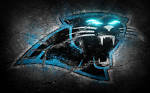 Panther Fan 4-Life