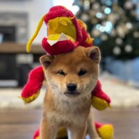 YomiMoney (@entireargument) 's Twitter Profile