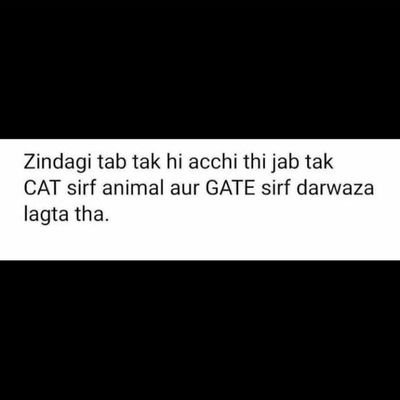 Nhassa28388868's profile picture. student