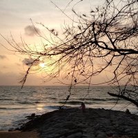 Yunus Ganjam (@yunusganjam) 's Twitter Profile