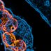Journal of Immunology and Allergy (@jimmunoallerg) Twitter profile photo Journal of Immunology and Allergy (@jimmunoallerg) Twitter profile photo