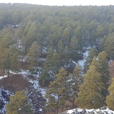 _Yana_Brilliant's profile picture. Каждый раз просыпаясь, мы уже другие, не такие как прежде.