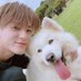 daily jeno dog (@dailypupjn) Twitter profile photo daily jeno dog (@dailypupjn) Twitter profile photo