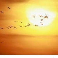ابو عمر (@hamio1019) 's Twitter Profile