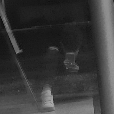 JxustMoiDavid's profile picture. 