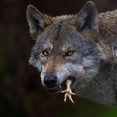 Seit höflich zu anderen, Sie könnten dein nächster Freund sein. Zuhören,Miteinander Reden
https://t.co/ezlxgIMYQp wird langsam Zeit