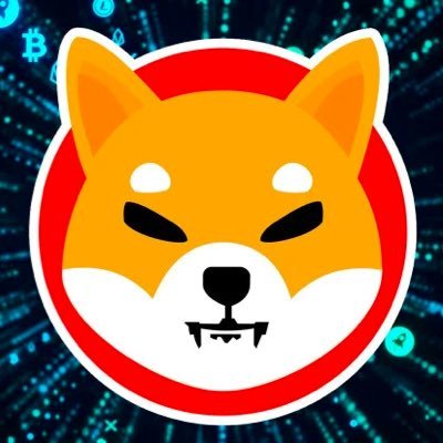 MafyMongol's profile picture. Learner