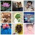 家人们不要熬夜 (@bian_zhai) Twitter profile photo