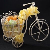 Apricot Candyの母 (@apricotcandy5) 's Twitter Profile