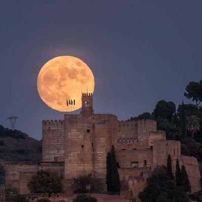 Aficionado a la fotografía nocturna, también macro y paisajes en general. Dale me gusta a mi página de facebook o visita mi web https://t.co/2UOFo8ysro
