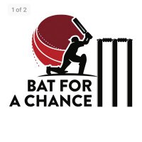 Bat For a Chance(@BatForAChance) 's Twitter Profile Photo