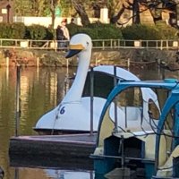 真夏日 (@sose_key) 's Twitter Profile