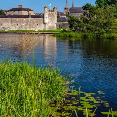 VeitchMargaret1's profile picture. 