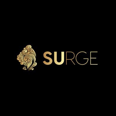 Surge is the world’s one-stop freelancing marketplace where companies and independent contractors can meet and find training, services, and solutions.
