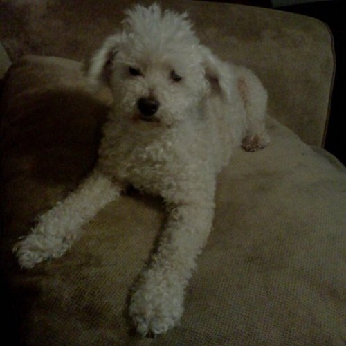 mgam1002's profile picture. 