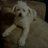 mgam1002's profile image
