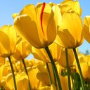 caroline mary Mutinda - @carolinemaryMu1 - Twitter