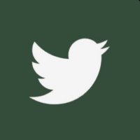 Nasibh Alharbi (@nusiba_) 's Twitter Profile