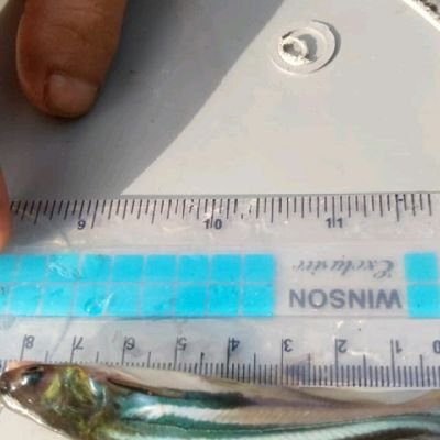 Agus83881440's profile picture. Tidak tahu juga