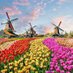 Doekoen (@doekoen78) Twitter profile photo Doekoen (@doekoen78) Twitter profile photo