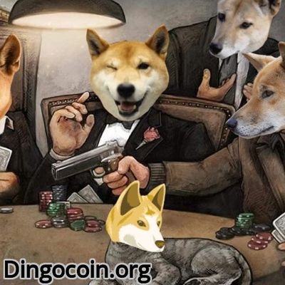 Community member dingocoin 🐶
