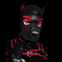 PupCipher (@pupcipher13) 's Twitter Profile
