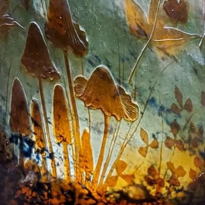 pachiliiQ's profile picture. 洋画インド映画アジア映画のshipを見る用アカウント  snmr🌺🌸 、Rの兄弟🌊🔥🌊、🐉🏯 最近たみるが気になります  成人済  ROMです