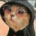 Orlando Pepito (@orlandopepito) Twitter profile photo Orlando Pepito (@orlandopepito) Twitter profile photo