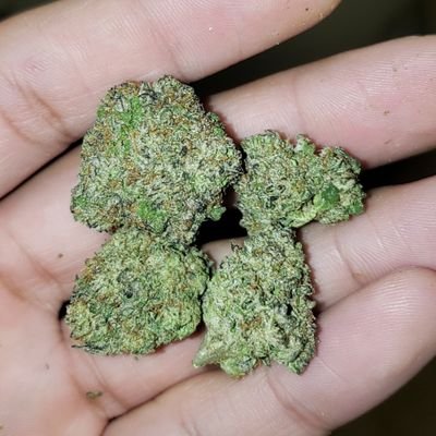 Bahzurk's profile picture. 