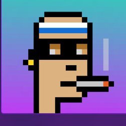 steve231.nft Profile
