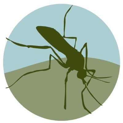 Placer Mosquito Profile