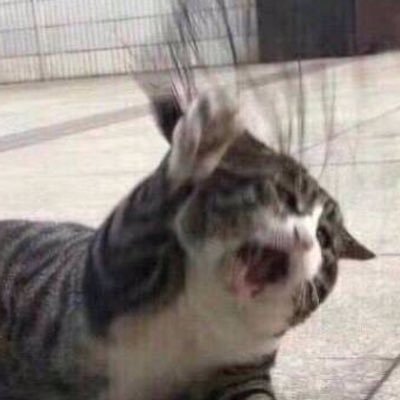 _execute_testa's profile picture. GOT7🐦,BTS🐰,MonstaX🐶,Nu'est🦊 | DC,Marvel,Starwar,Startrek | *warning-multi fandom*