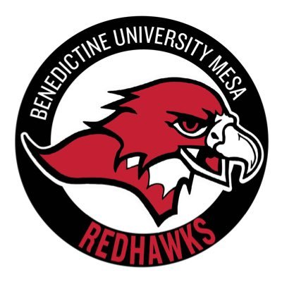 Mesa_Redhawks Profile Picture