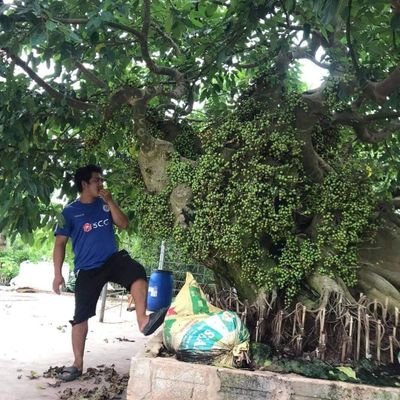 ThangLoi99's profile picture. 