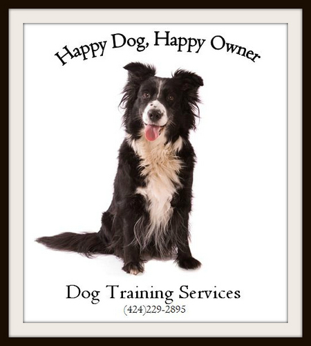 Specializing in dog/owner walking & socializing, basic commands, leash regulation, housebreaking, safe new-pet introductions, trail walking/running & more!