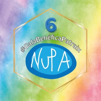 VI Gala Benéfica organizada por las Falleras Mayores y Presidentes del Sector Patraix 2014 y 2020 en favor de NUPA