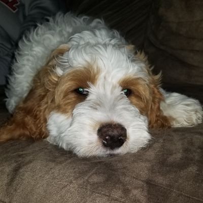 logjam1776's profile picture. 