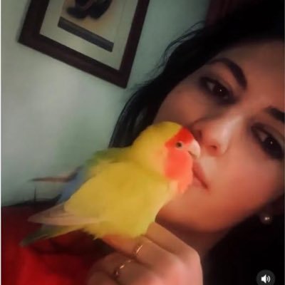 Animal lover 🐶🦜🐥🐦 Alp Navruz ☀️ #AlpNavruz 🌙 🏝️ 🐦🔥❤️ #ANFC 💚 🖤 #EşSan #EşrefTek 🔥 #EşrefRüya #ÇağDem 💕🥀