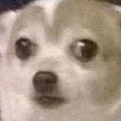 SahilKu08191422's profile picture. 