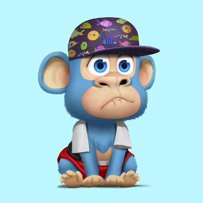 nft__noob's profile picture. 