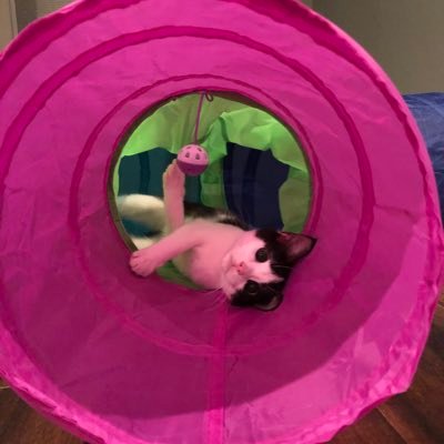 StellaG64456133's profile picture. 