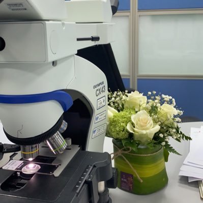 Dr_fatma_74's profile picture. Fatma A. Al-Jindan🔬Anatomic Pathologist 🤍 🇸🇦حساب شخصي🤍