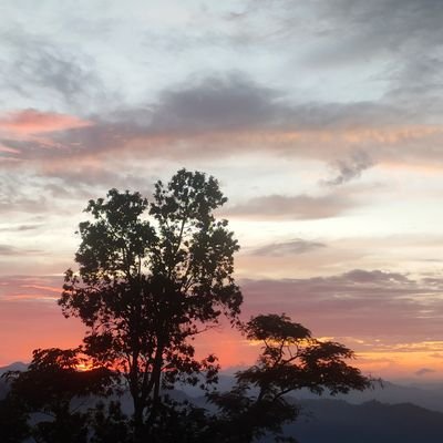 Curious_Jake12's profile picture. Entertainment