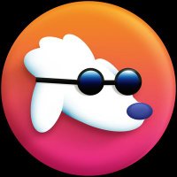 $POODL(@POODLETOKEN) 's Twitter Profile Photo