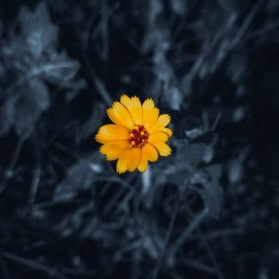 sriram_vairavan's profile picture. Nothimg